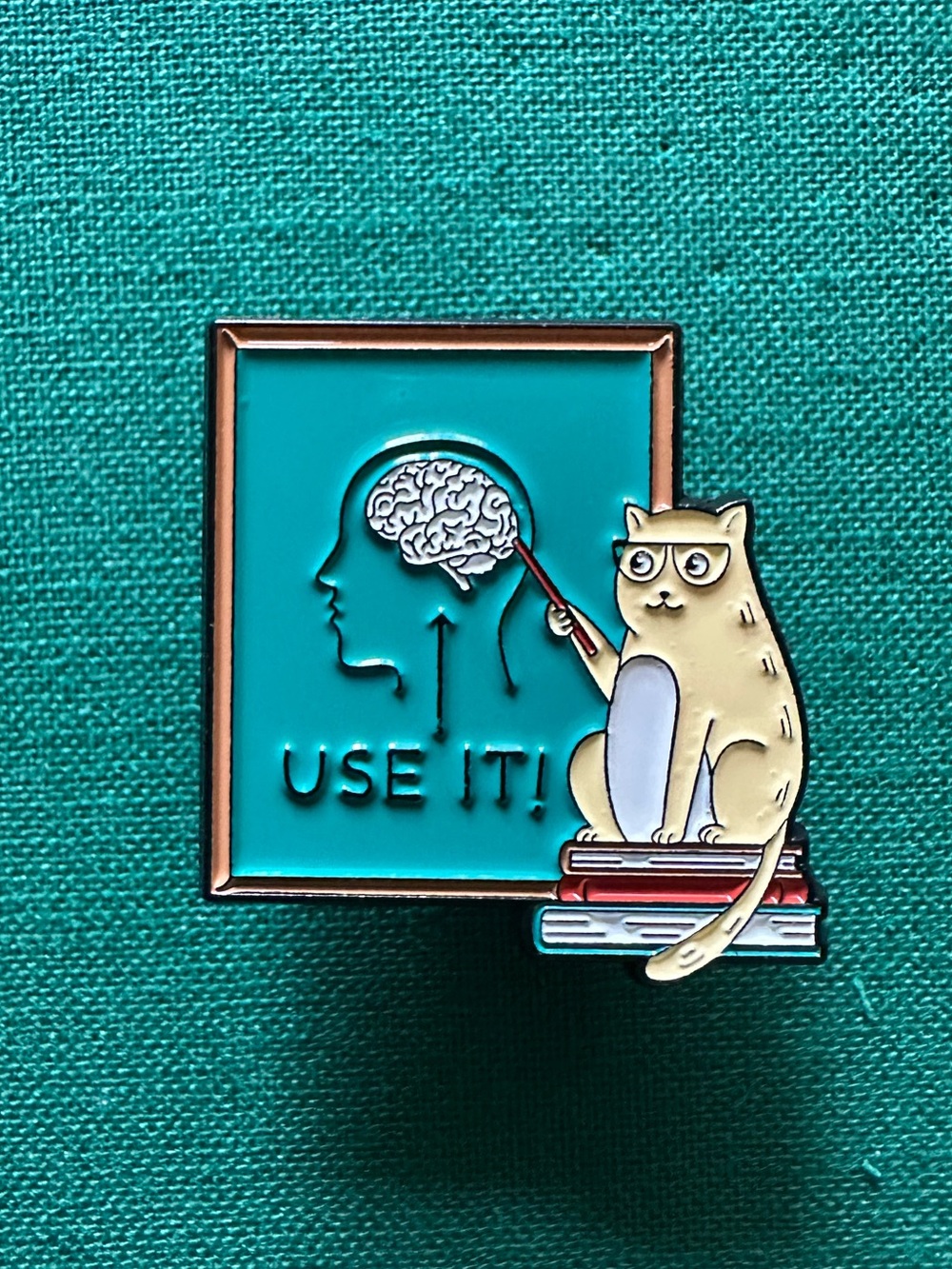 Funny Enamel Pin